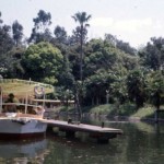 ジャングル巡行船